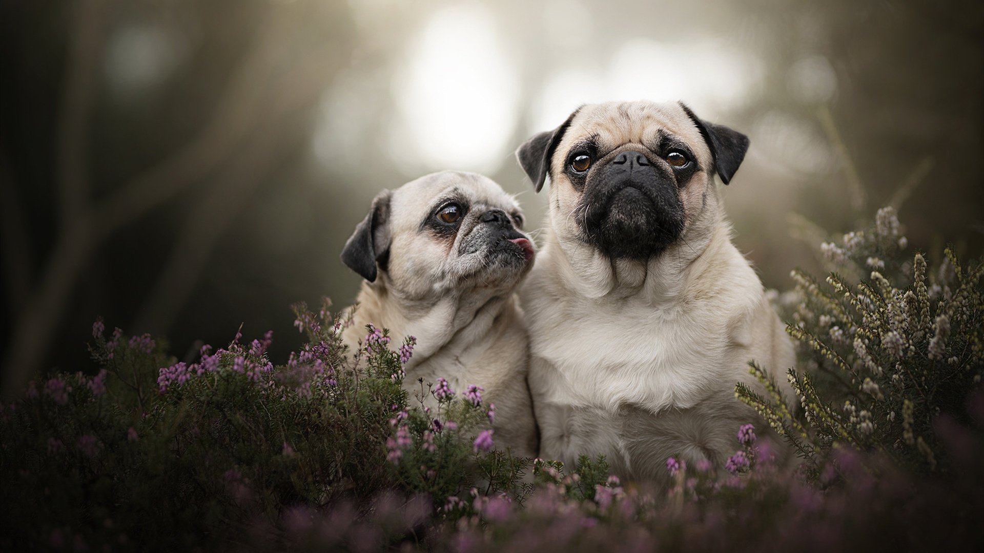 华体会网址-中国足球训练内容科学化改革，中国足球训练内容科学化改革是什么