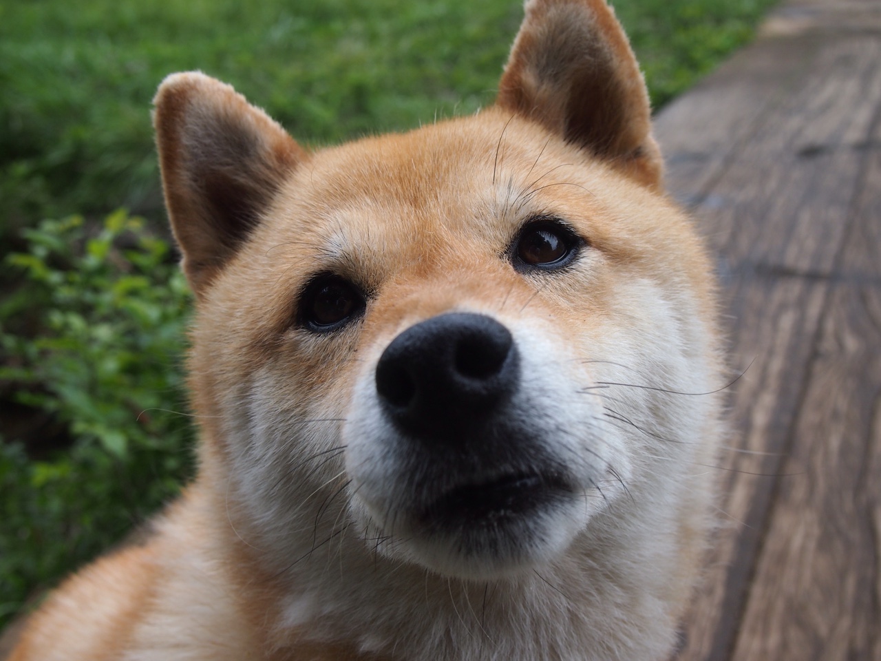 华体会手机网站-冠军只在两队之间产生？英超争冠进入阿森纳VS曼城模式，英超 阿森纳 曼城