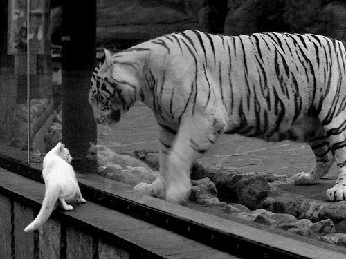 冠军只在两队之间产生？英超争冠进入阿森纳VS曼城模式，英超 阿森纳 曼城